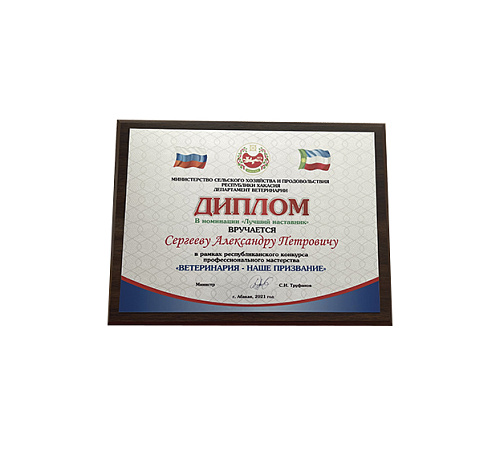 Плакетка (наградная доска) формат А5 с термопереносом